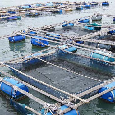 Power outage monitor for fishing and seafood industry